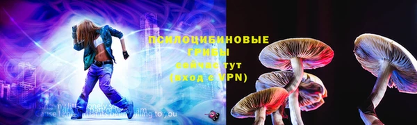 СК Балахна
